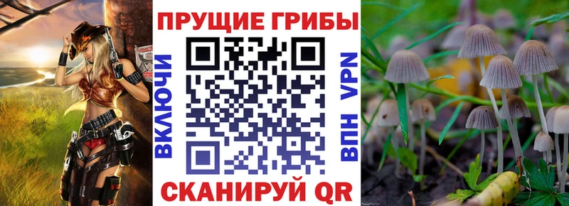 купить  сайты  Куйбышев  Псилоцибиновые грибы мицелий 