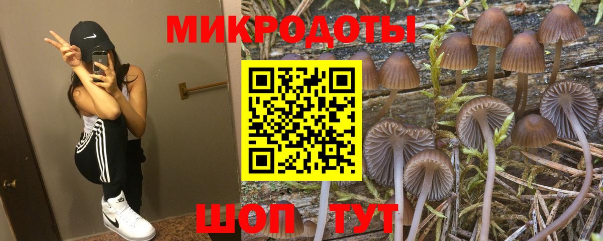 Галлюциногенные грибы Psilocybe  Вход с VPN  Псилоцибиновые грибы MAGIC MUSHROOMS  Куйбышев 